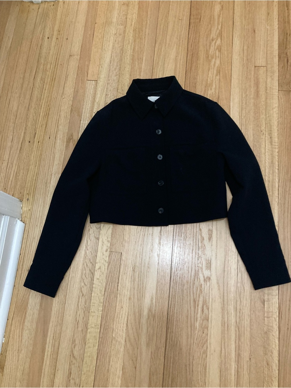 Aritzia Black Cropped Jean Jacket